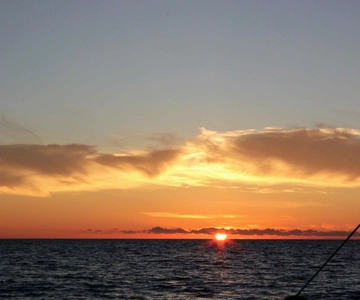 Funchal: Passeio de Catamarã ao pôr do sol no Cabo Girão