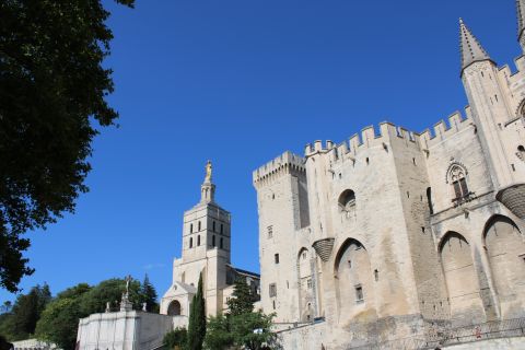 Avignon: Historic District Guided Food & Wine Walking Tour