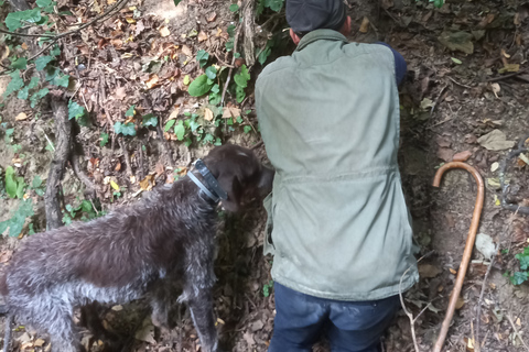 Langhe: Truffle Hunting Experience 1.5-Hour Shared Tour