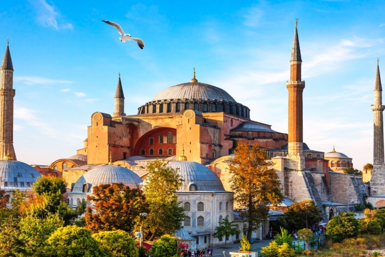 Istanbul Old City Full-Day Tour Tour in Spanish