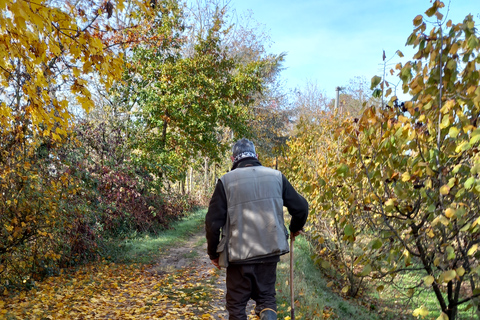Langhe: Truffle Hunting Experience 1.5-Hour Shared Tour