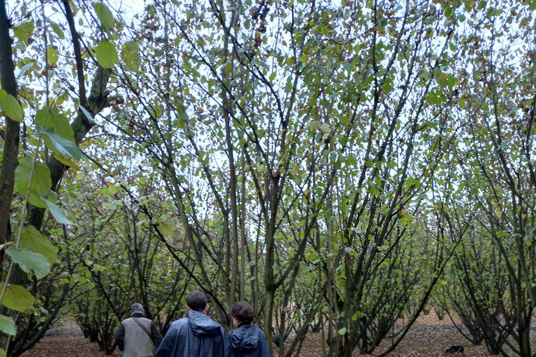 Langhe: Truffle Hunting Experience 1.5-Hour Shared Tour