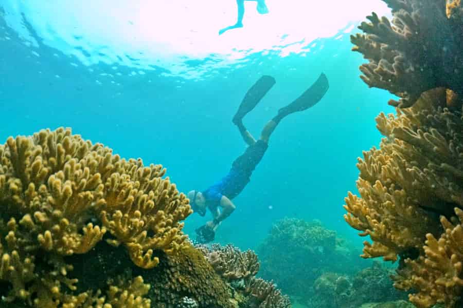 Süd-Phu Quoc: Professionelle Schnorcheltour mit dem Schnellboot – max. 10 Personen. Foto: GetYourGuide