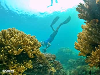 South Phu Quoc: Pro Snorkeling Tour by Speedboat
