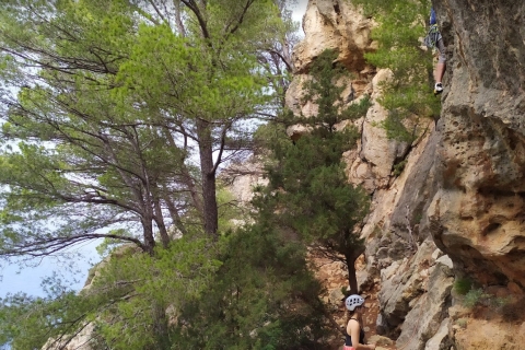 Valencia: Introduction to Sport Climbing