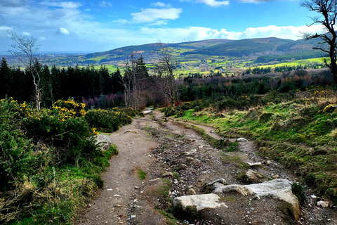 Aus Dublin: Höllenfeuer-Horror-WanderungAb Dublin: Ausflug zum Hellfire Club