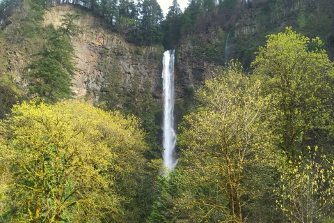 Van Portland: Columbia Gorge Waterfalls Tour