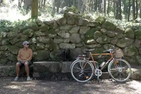 Lisbona: tour guidato del Monsanto Park in bici d'epoca