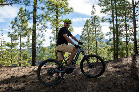 Tenerife: Guided Electric Mountain Bike Volcano Tour