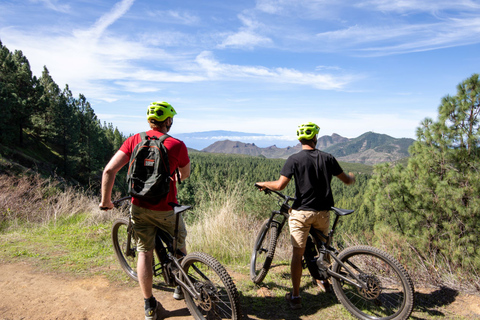 Tenerife: Guided Electric Mountain Bike Volcano Tour