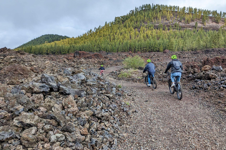Tenerife: Guided Electric Mountain Bike Volcano Tour