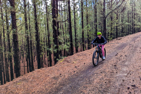 Tenerife: Guided Electric Mountain Bike Volcano Tour