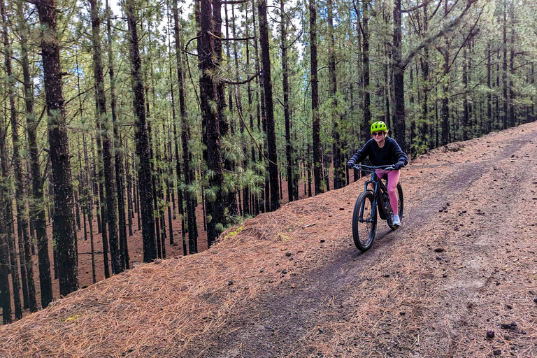 Tenerife: Guided Electric Mountain Bike Volcano Tour