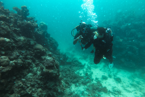 Jeddah: Red sea shore diving