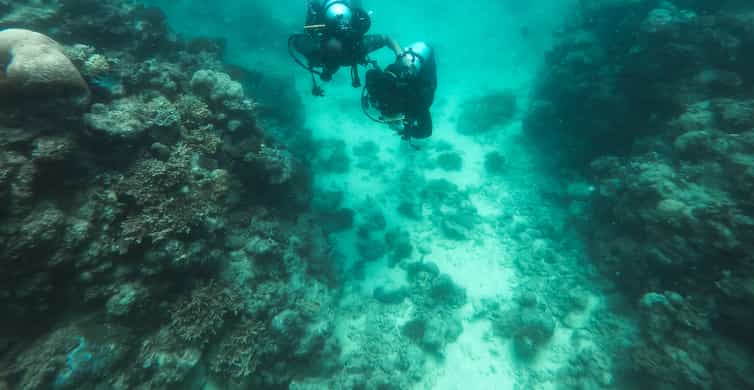 Jeddah: Red sea shore diving | GetYourGuide