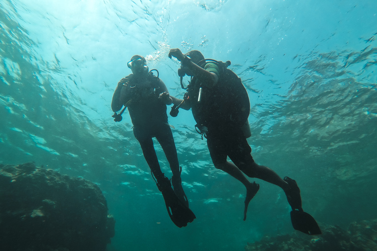 Jeddah : Plongée en mer Rouge