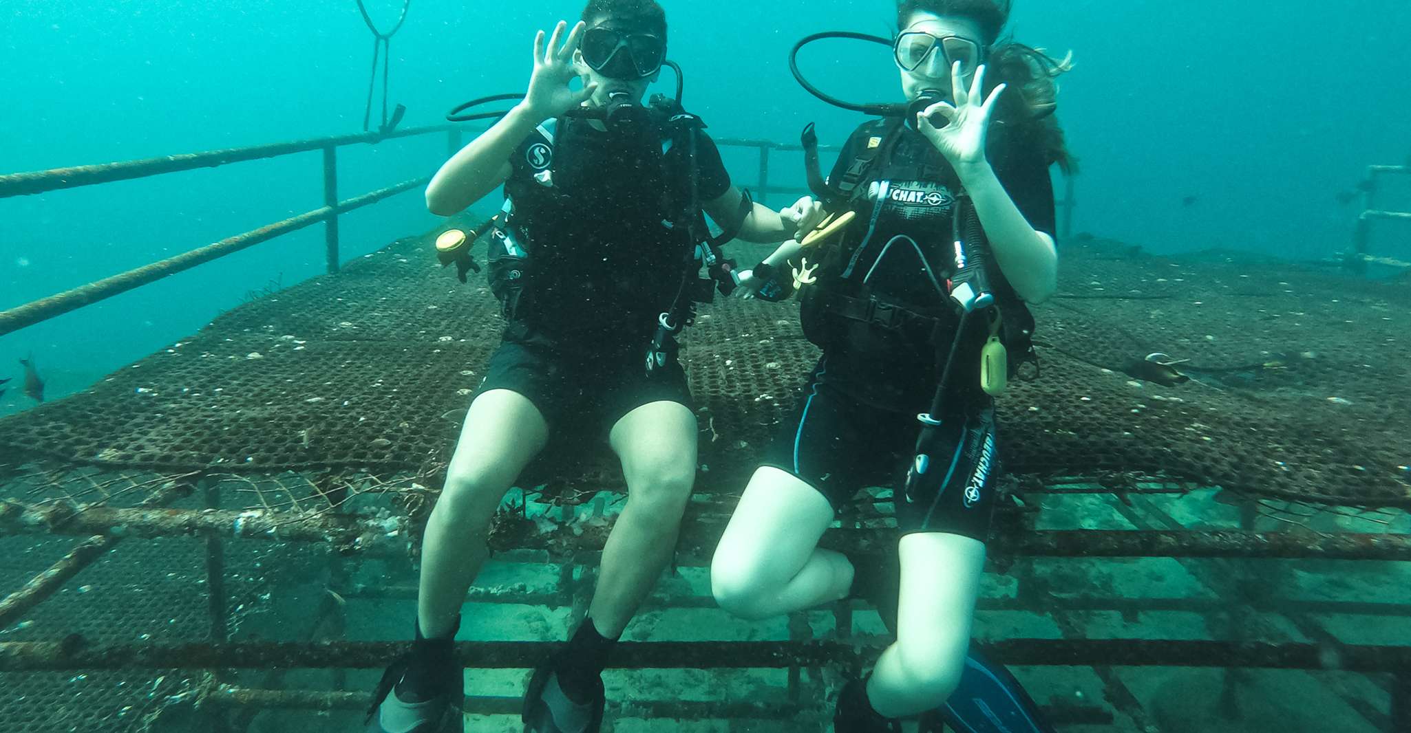 Jeddah: Red sea shore diving (Discovery) photo 4