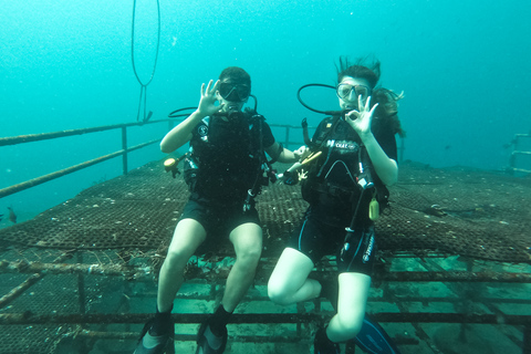 Jeddah Buceo en la costa del Mar Rojo