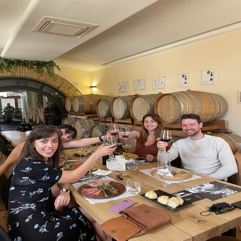 Visit From Rome tasting tour in cellar immersed between vineyards in Rome