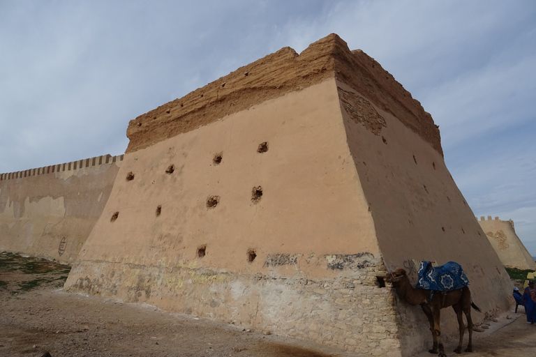 Agadir: Private City Tour with Kasbah &amp; Agadir Museum AccessPrivate : Agadir City Tour