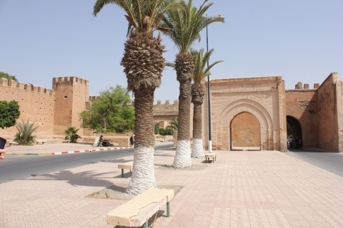 Privé: Agadir naar Taroudant en Tiout Oasis Trip met lunch