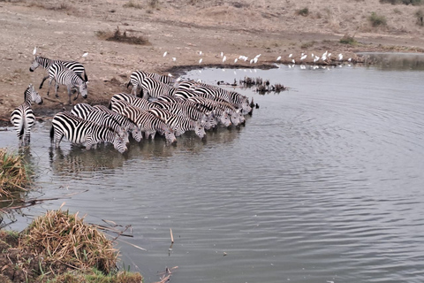 Nairobi National park sunrise game drive with pickup/dropoff