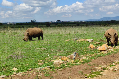 Nairobi National park sunrise game drive with pickup/dropoff