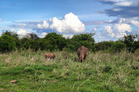 Nairobi National park sunrise game drive with pickup/dropoff