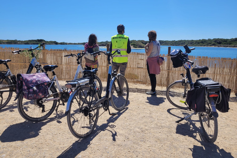 Valencia's Albufera, cycling guided tour