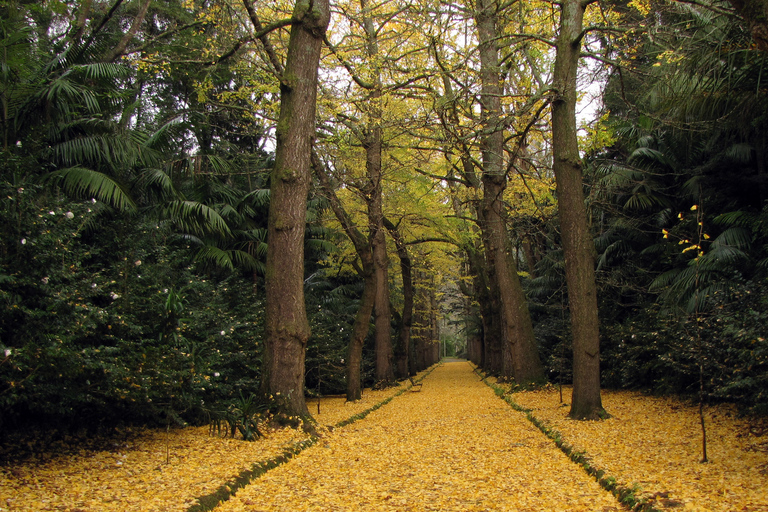 Furnas Botanic Gardens Tour en HotSprings (incl. lunch)Furnas Vulkaan & Botanische Tuinen Tour met HotSprings (lunch!)