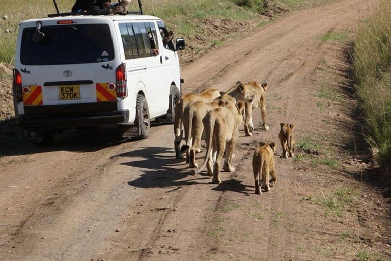 From Nairobi: 12 Days Small Group Kenya and Tanzania Safari