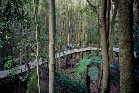 Au départ de Sydney : Les Montagnes Bleues, les Trois Sœurs et Leura - Circuit d'une journée