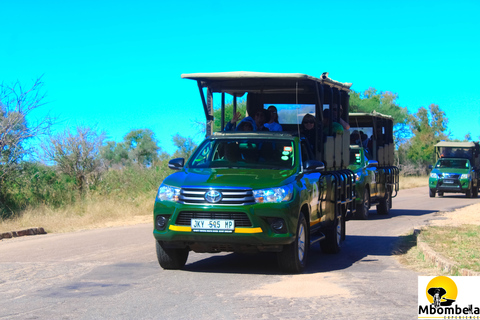 Da Johannesburg: safari di 2 giorni nel Parco Nazionale Kruger con la guida di tende