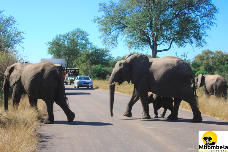 Vanuit Johannesburg: 2-daagse Kruger National Park Tented Safari