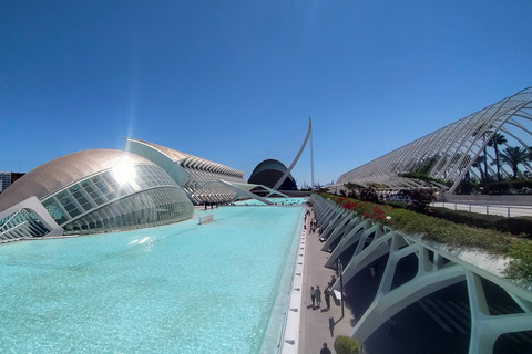 Valencia's Albufera, cycling guided tour