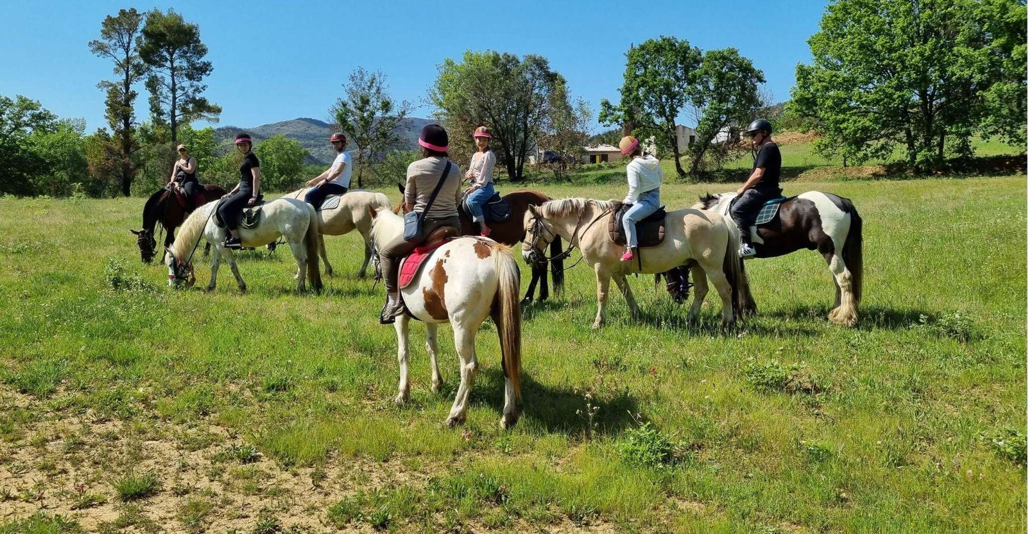 Montar a caballo + cata de vinos en el bosque de Maures - Hizvo