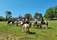 Reiten + Weinprobe im Maures Forest - Hizvo