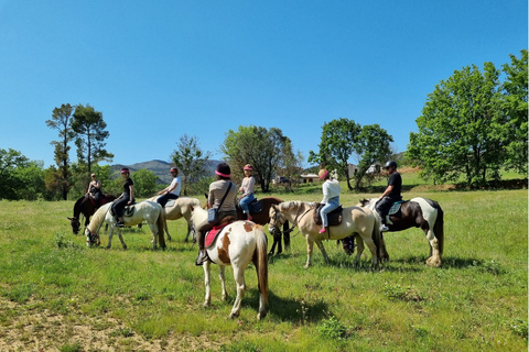 Grimaud: Horseback Riding & Wine Tasting in Maures Forest Horse back riding + wine tasting in the Maures Forest