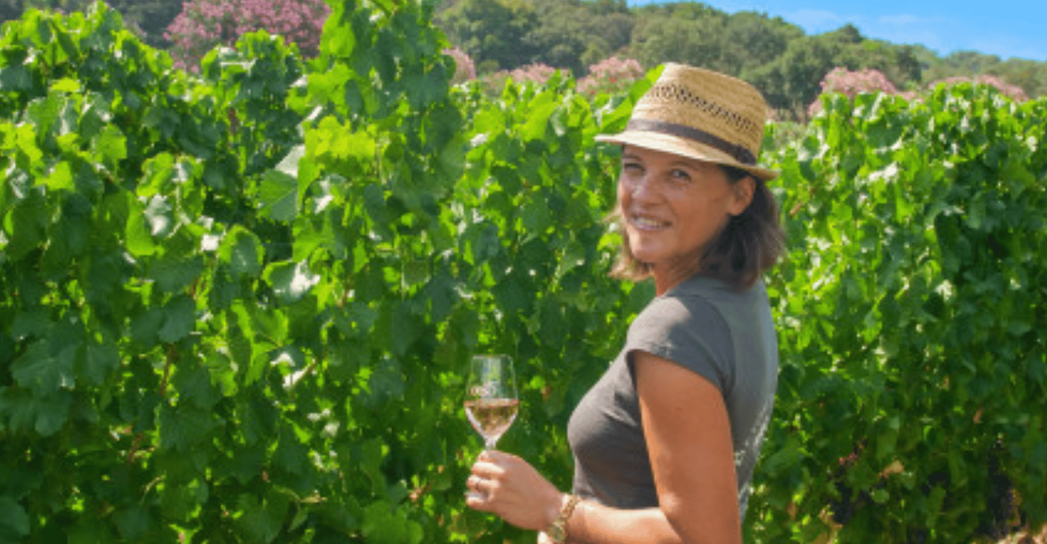 Montar a caballo + cata de vinos en el bosque de Maures - Hizvo