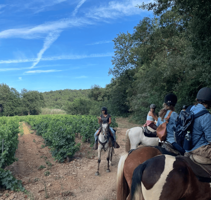 Horse back riding + wine tasting in the Maures Forest GetYourGuide