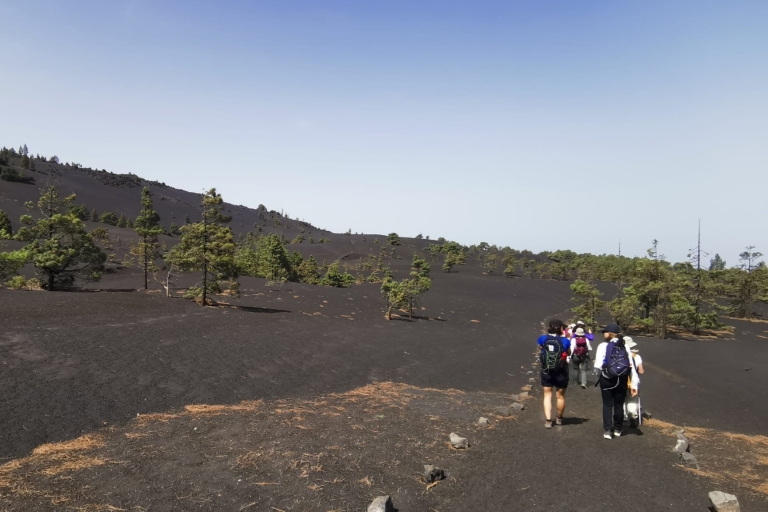 La Palma:Excursión guiada al nuevo Volcán Tajogaite +trasladoFuencaliente:Recogida en Fuencaliente (de martes a viernes)