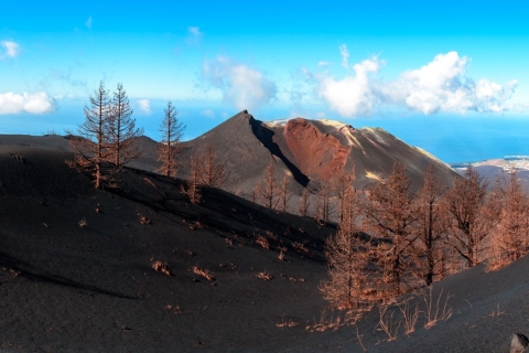La Palma:Geführte Tour zum neuen Vulkan Tajogaite +TransferLos Cancajos - Abholung Apotheke Bushaltestelle (dienstags bis freitags)