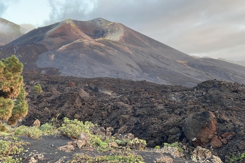 La Palma:Geführte Tour zum neuen Vulkan Tajogaite +TransferSanta Cruz de La Palma-Pickup-Bushaltestelle (dienstags bis freitags)