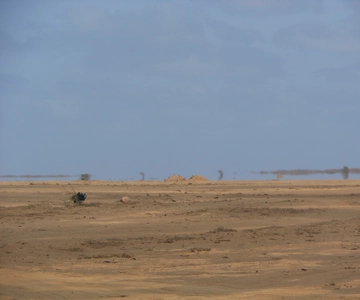 Sal: Half-day tour around the island