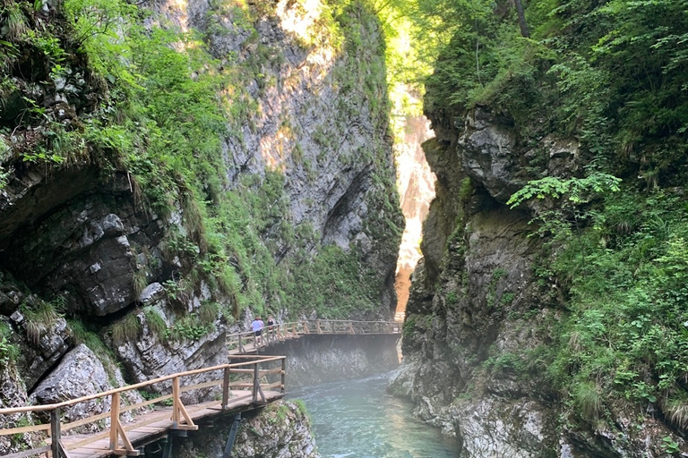 Wycieczka z Bled do Parku Narodowego Triglav