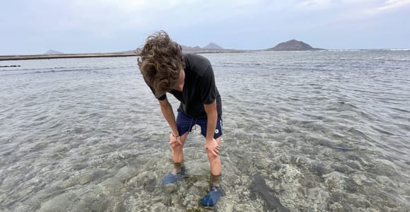 Sal: Lemon Shark Bay and Pedra de Lume Salt Lakes Tour