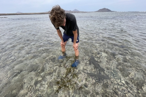 Sal: Wycieczka do Lemon Shark Bay i Pedra de Lume Salt Lakes
