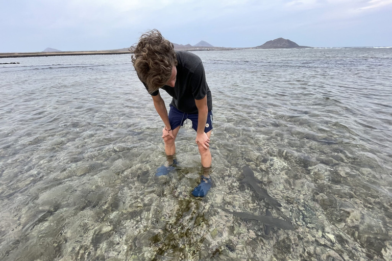 Sal : Circuit de la baie de Lemon Shark et des lacs salés de Pedra de Lume