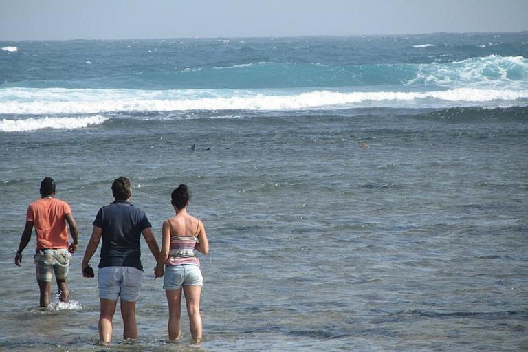 Sal : Circuit de la baie de Lemon Shark et des lacs salés de Pedra de Lume