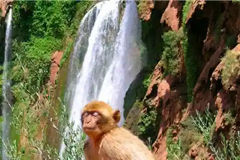 De Marrakech: caminhada guiada pelas cachoeiras de Ouzoud e passeio de barco